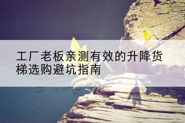 依安升降货梯怎么选-工厂老板亲测有效的升降货梯选购避坑指南