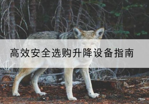 依安升降货梯厂家推荐-*安全选购升降设备指南