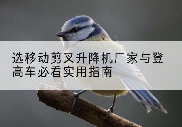 依安电动升降机厂家-选移动剪叉升降机厂家与登高车必看实用指南