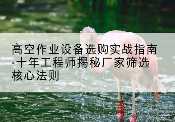 依安剪叉式升降机厂家-高空作业设备选购实战指南-十年工程师揭秘厂家筛选核心法则