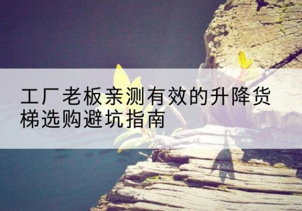 依安升降货梯怎么选-工厂老板亲测有效的升降货梯选购避坑指南